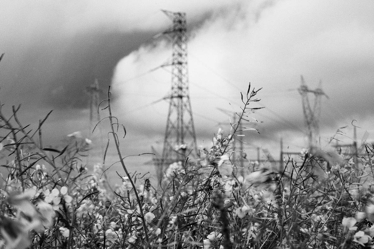 Wildflowers and power towers in Andorra