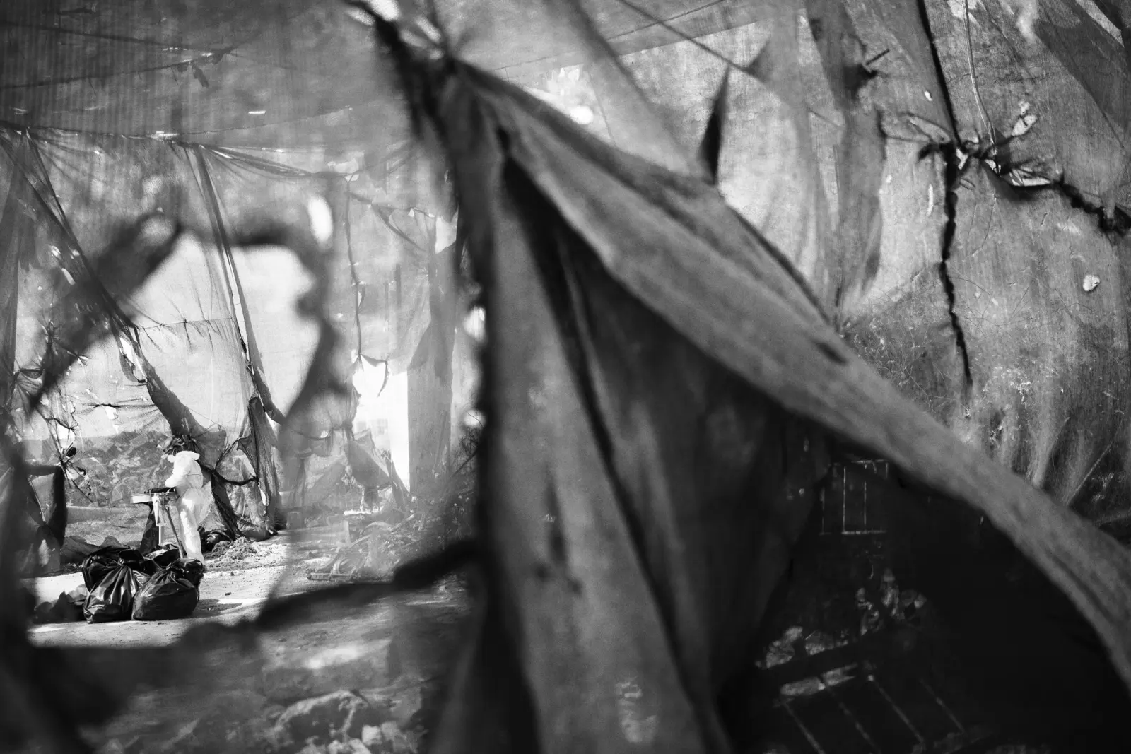 Worker performing recycling tasks in a safety enclosure at Compostilla